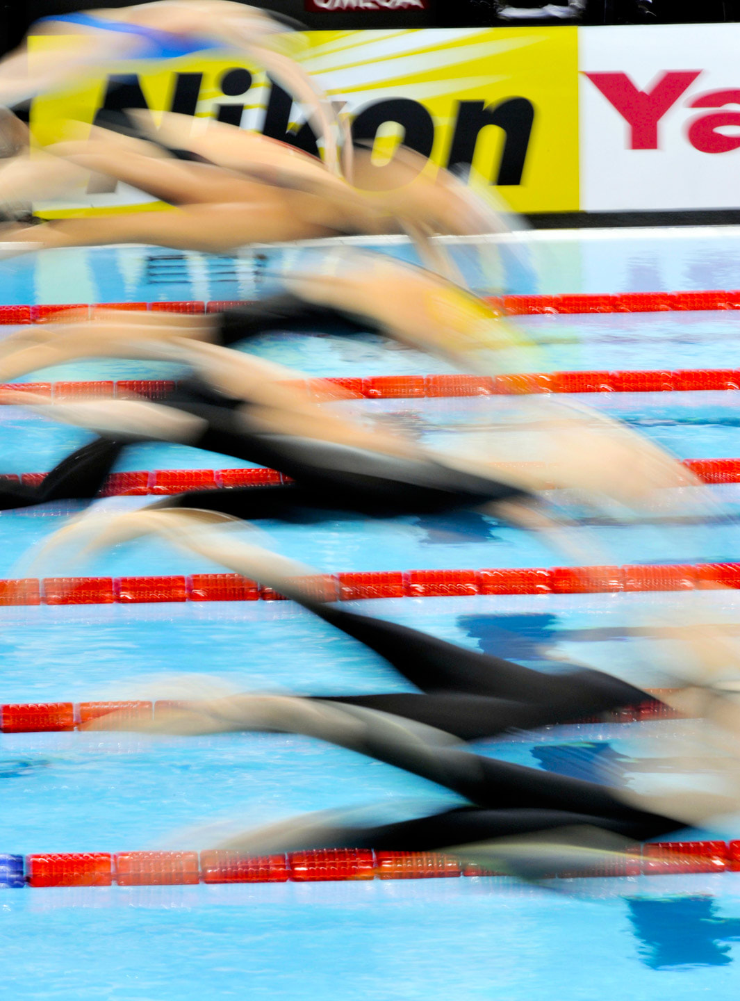 FINA world swimming championship 
